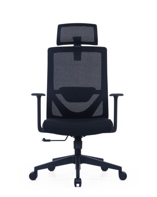 Executive Office Chair Bc-01
