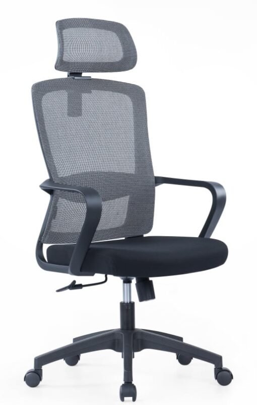 Executive Office Chair Bc-02